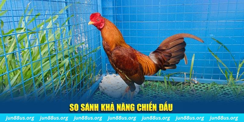 go99 xổ số tiền giang