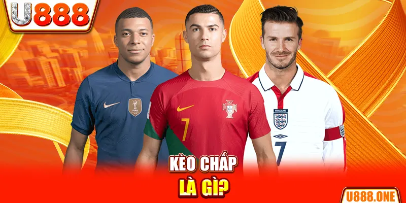 go99 chổi lông gà