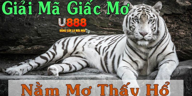 go99 xổ số kiến thiết miền bắc