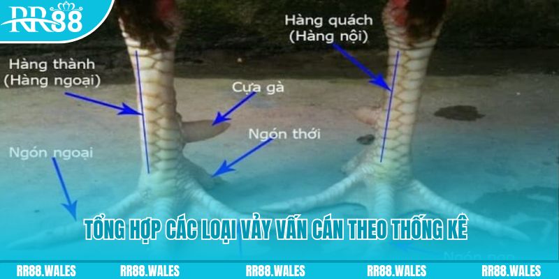 go99 nổ hũ chơi như thế nào