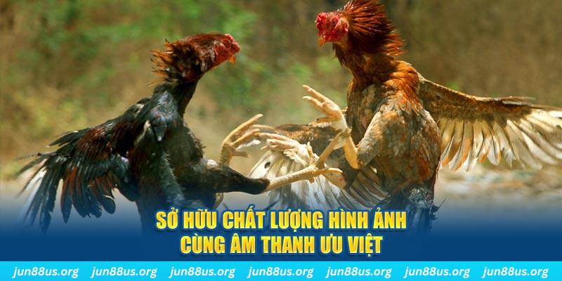 go99 tai game danh bai ve may tinh
