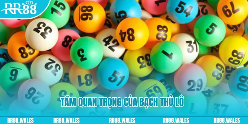 go99 đá gà trực tiếp casino