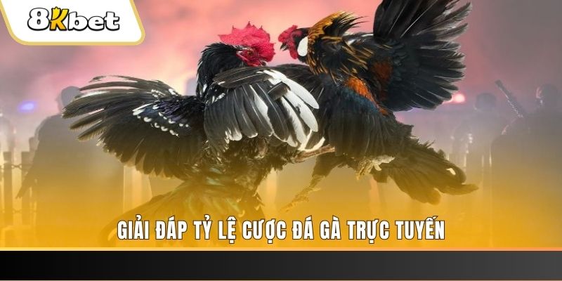 go99 xổ số ba đài