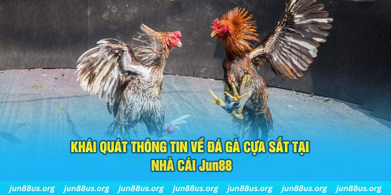 go99 game bài trên máy tính
